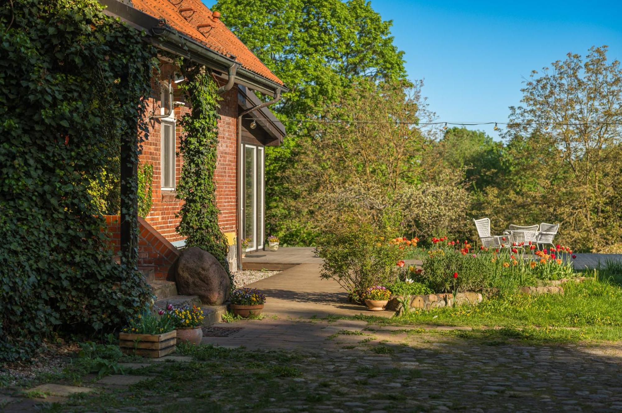 Dom Goscinny Stara Szkola Wysoka Wieś Buitenkant foto